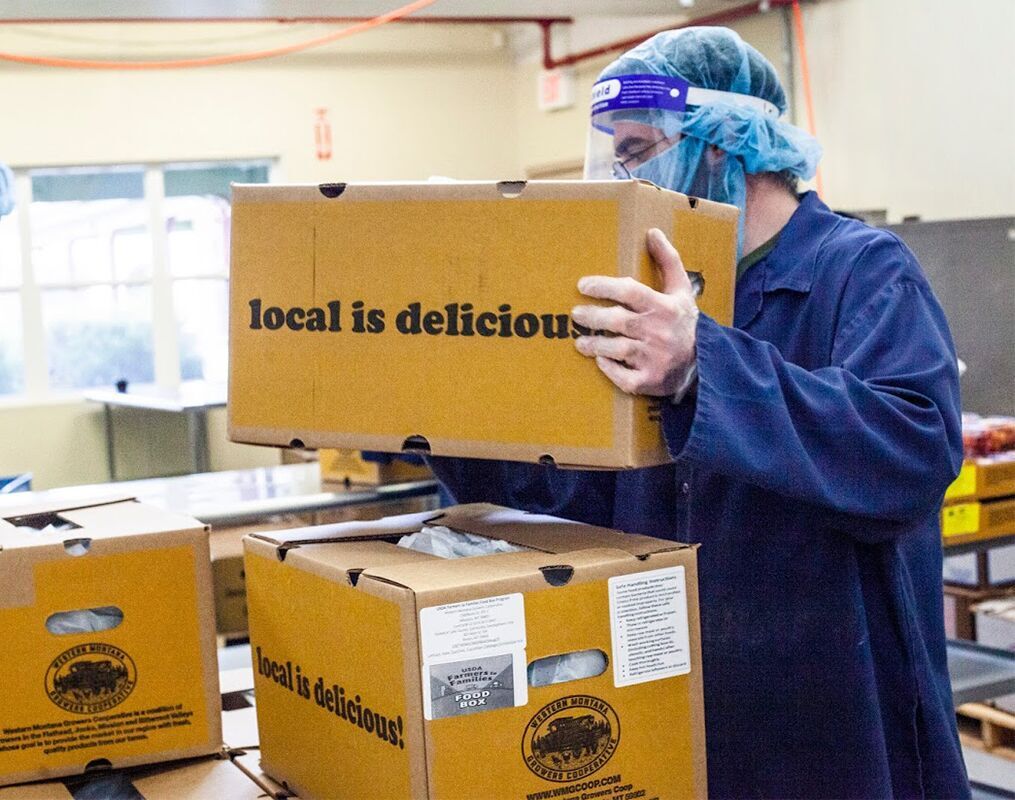 Food boxes